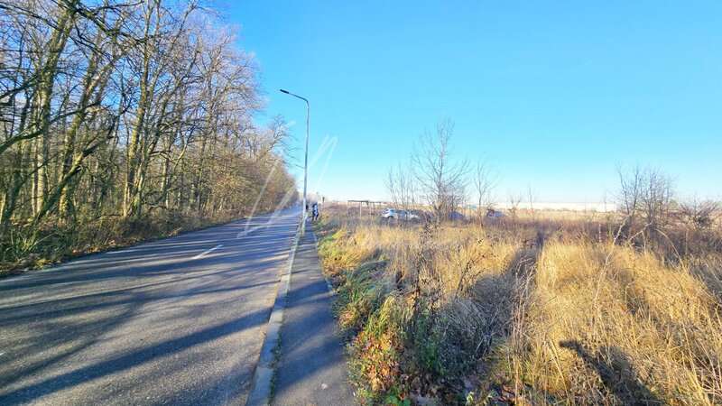 Baneasa, Drumul Padurea Pustnicu 65, Greenfield, teren intravilan, 2 fronturi,