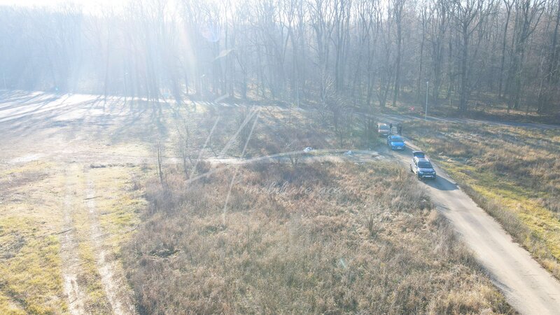 Baneasa, Drumul Padurea Pustnicu 65, Greenfield, teren intravilan, 2 fronturi,